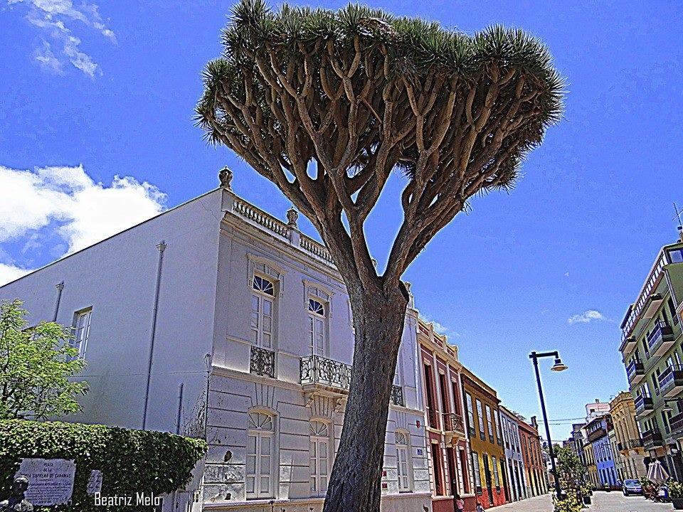 Apartamento Ossuna La Laguna  Esterno foto